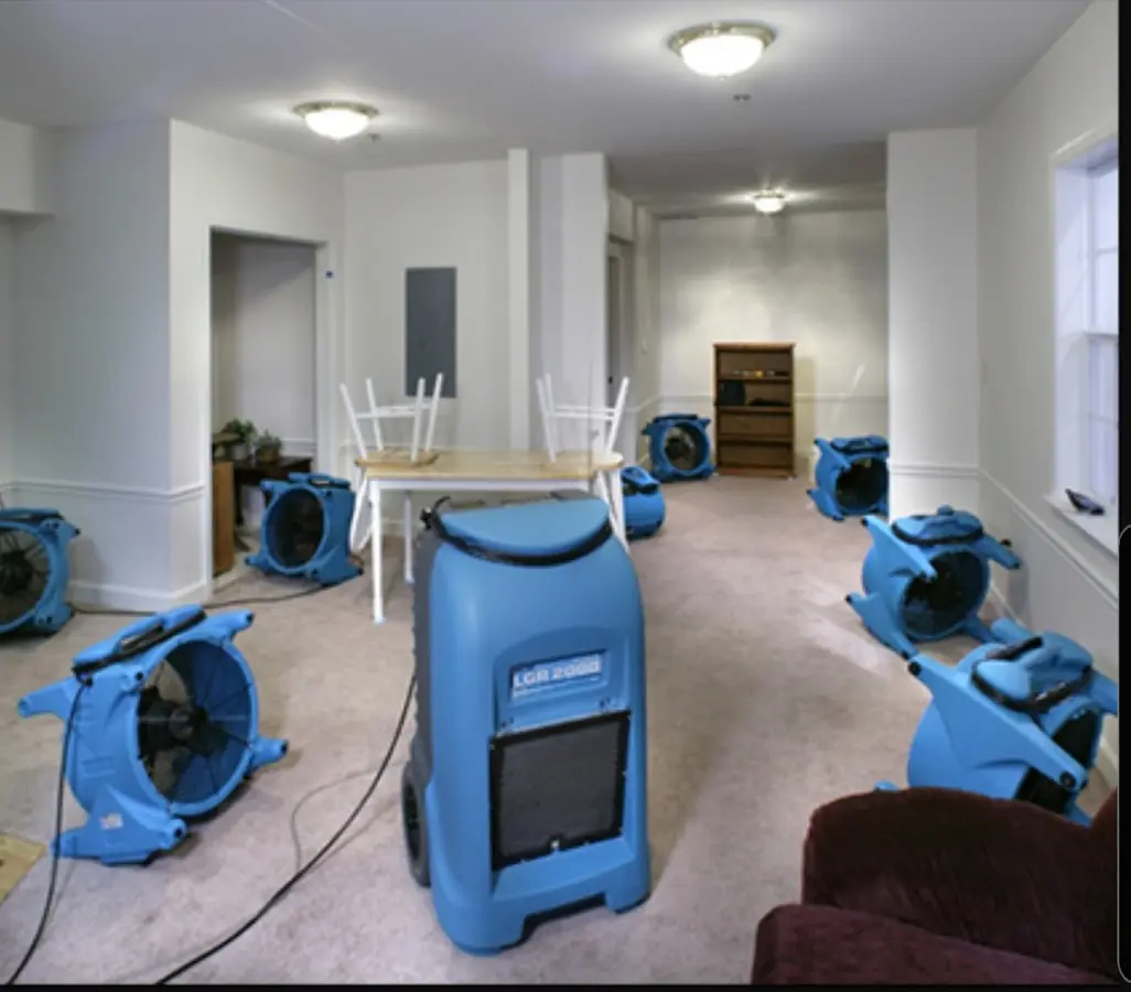 Air movers and dehumidifier setup for Water Extraction & Removal in Bellwood